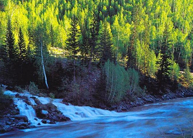 巩乃斯森林公园