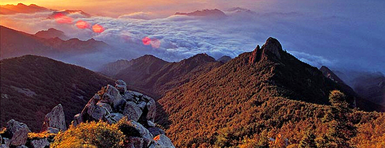 秋高气爽登高去