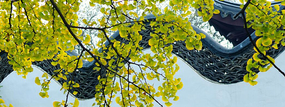 无锡的好色之秋