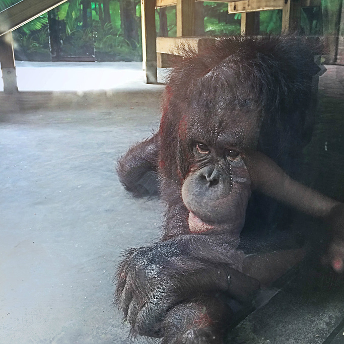 2014随心游 动物园坐地铁可以到达_上海野生