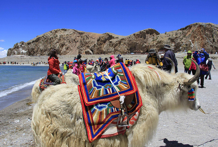 2015我曾经看到过很多赞美纳木措的诗歌_纳木