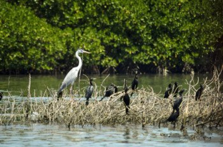 2015教堂装饰庄严典雅,十分讲究_圣玛丽教堂