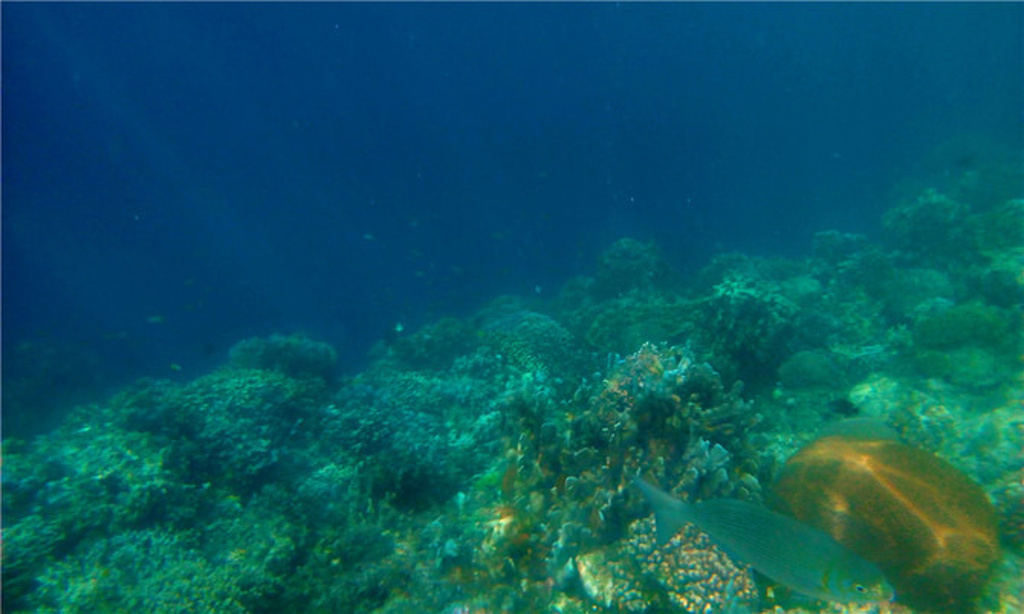 2015他最特别的地方就是大陆架和海洋断层._