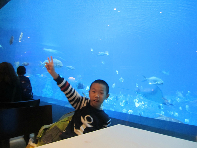 珠澳游,自在行._澳门旅游攻略