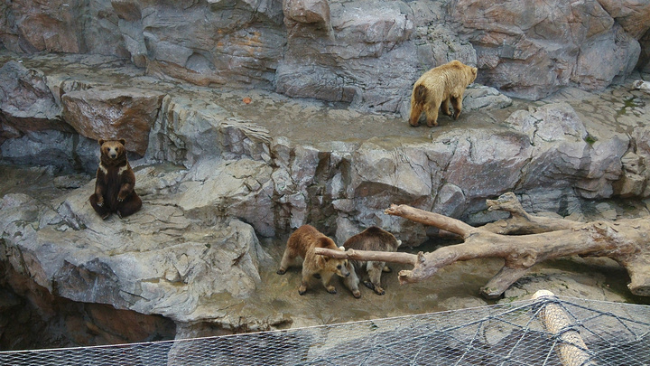 2015第三天早上八点准时出发,直接在高铁站旁