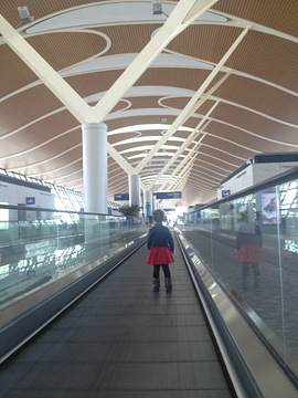 2015浦东国际机场_旅游攻略_门票_地址_游记