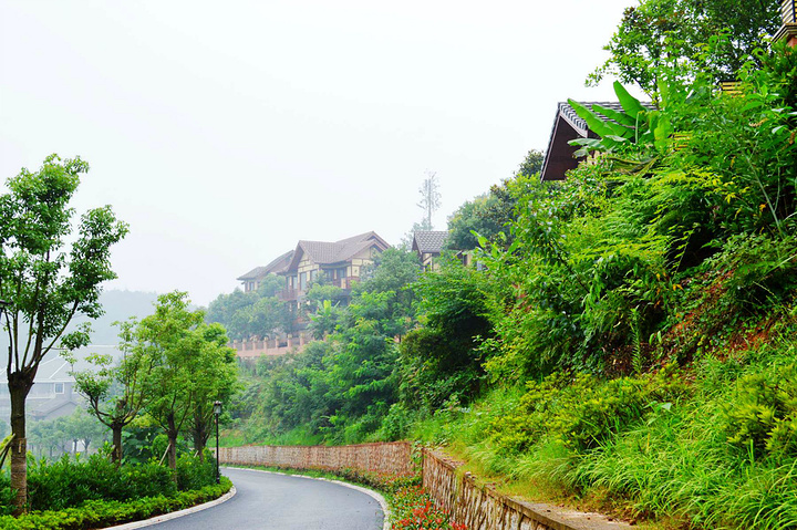 2015消费从人均消费60元起到最高1000元止_