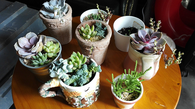 清明小长假4天3晚三亚度假游_三亚旅游攻略_