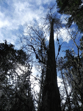 2015毕棚沟_旅游攻略_门票_地址_游记点评,阿