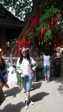 2015黄龙溪_v游记游记_攻略_门票_地址点评,成问道手游40级攻略图片