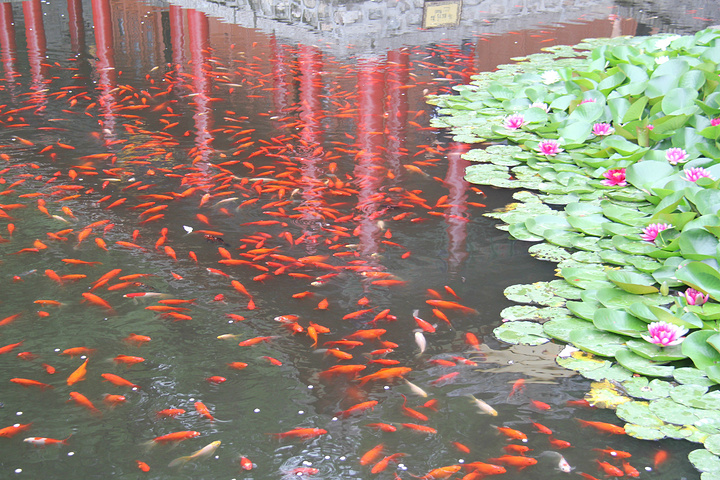 2015值得一去的西安景区_华清池评论