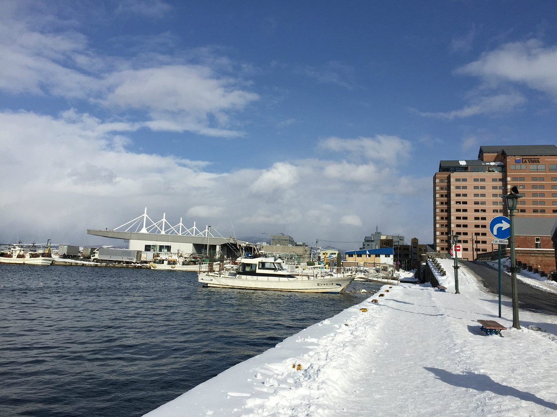 北海道冬日一周游(函馆登别札幌家庭游)_登别theendisnigh攻略图片