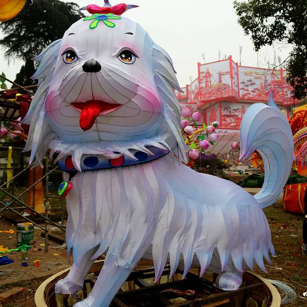 动物坐船简笔画_动物世界 动物坐船简笔画