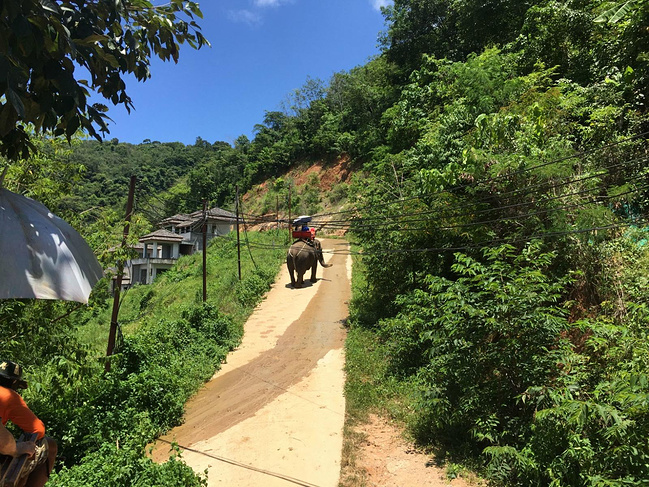 清迈(泰国、曼谷、清迈、普吉)自由行_清莱旅九分旅游攻略图片