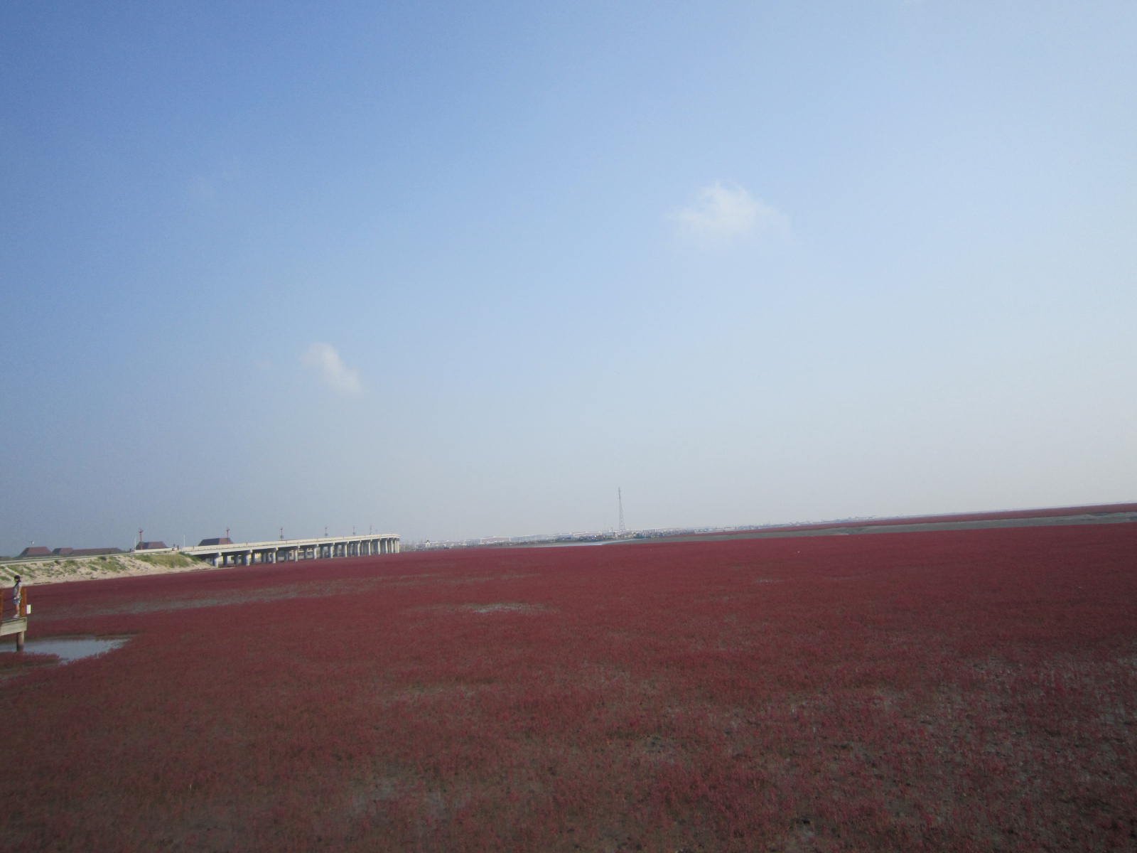 畅游红海滩国家风景廊道