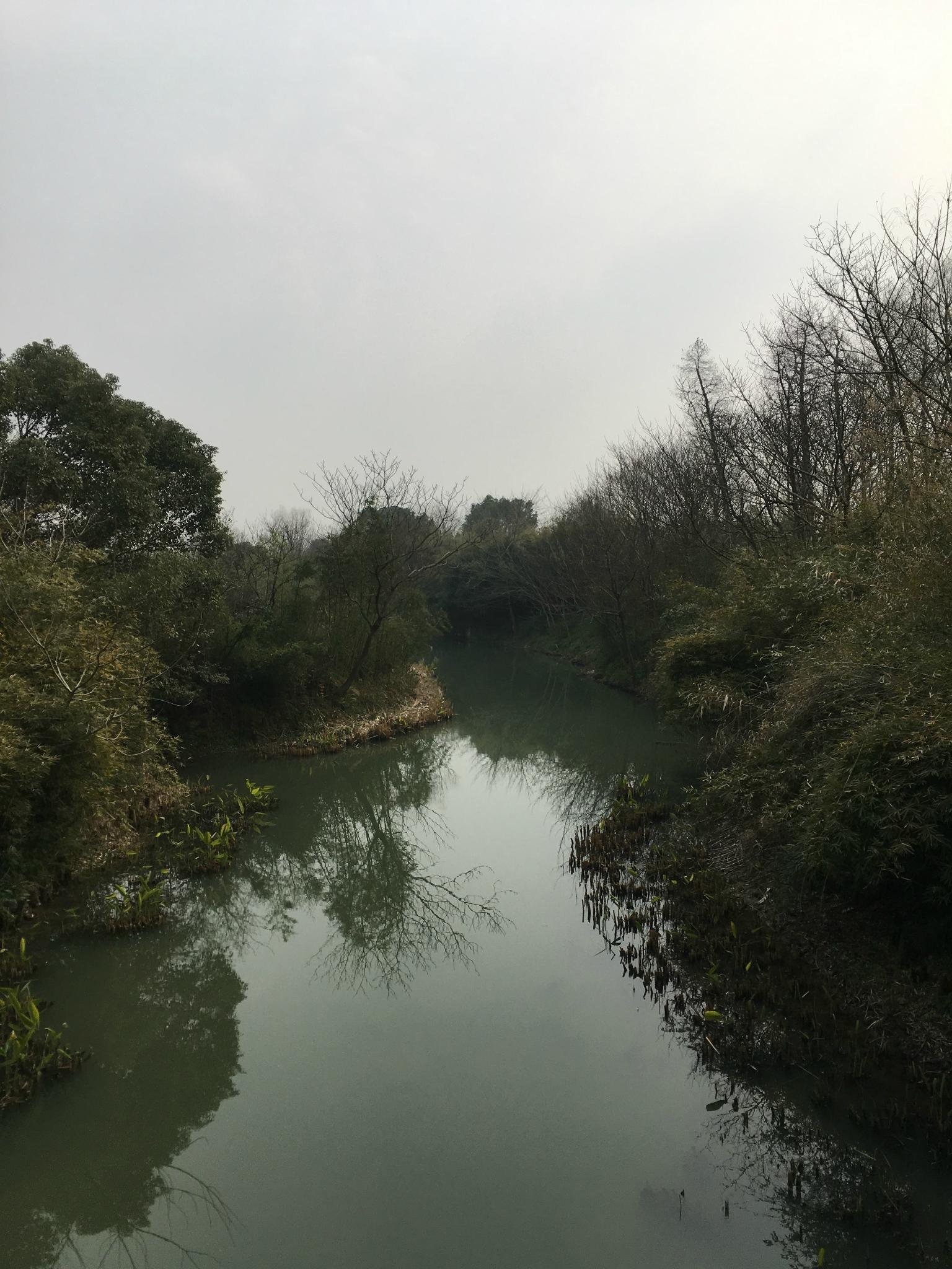 三八前的西溪攻略公园_杭州旅游海鲜_自助游攻略京深湿地图片