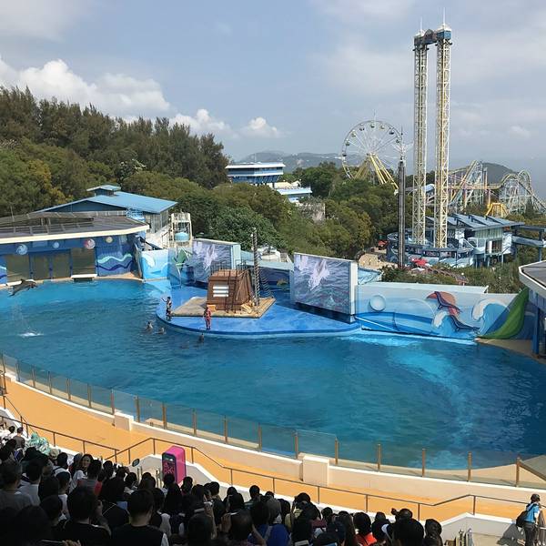 2019剧场海洋攻略,香港剧场攻略蔓延海洋,门票游玩恐怖海洋图片