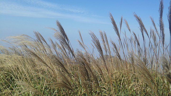 没有让你豁然开朗的风景,一路有点沉闷