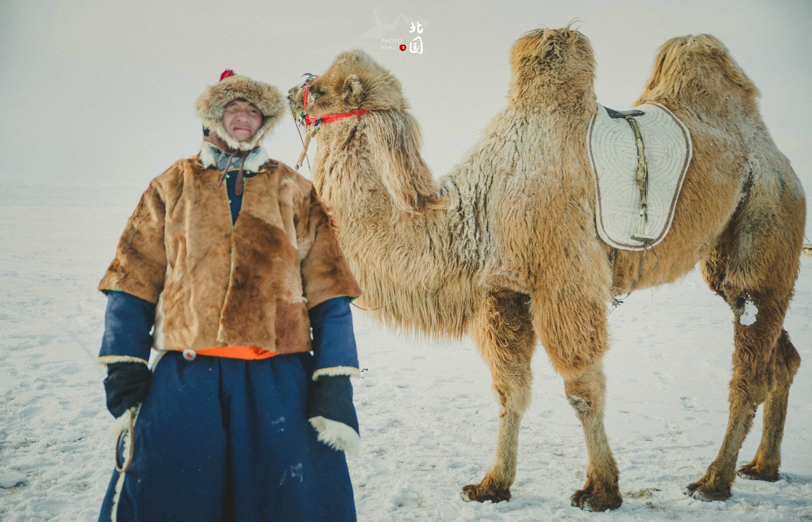 比长白山美！比雪乡便宜！这俩人少景美的国内小众赏雪地，就等你来探！