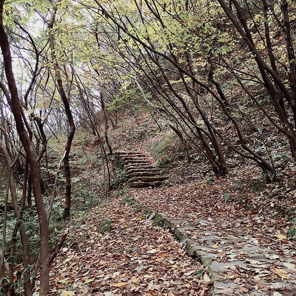 2018木兰天池景区_v景区门票_扑克_游记_攻略玩法清炖游戏地址图片