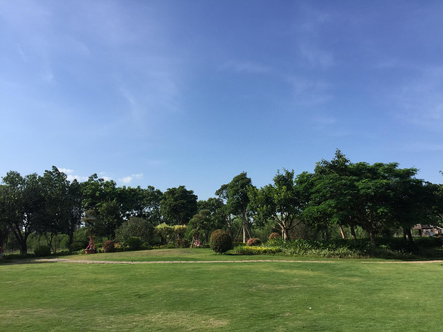 草地啊