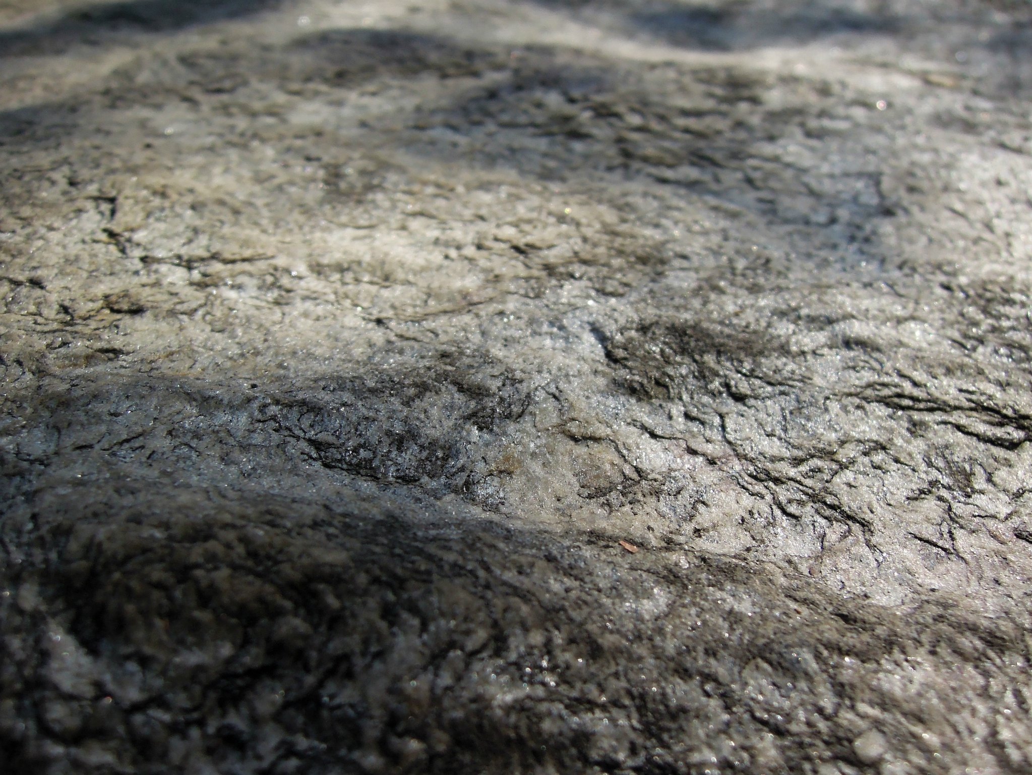 岩石层面闪闪发光细小鳞片状矿物是绢云母,它是一种变质矿物,阳光照射