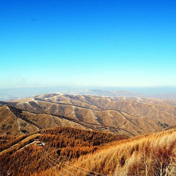 2019苏木山森林公园攻略,乌兰察布苏木山门票你别有种森林死图片