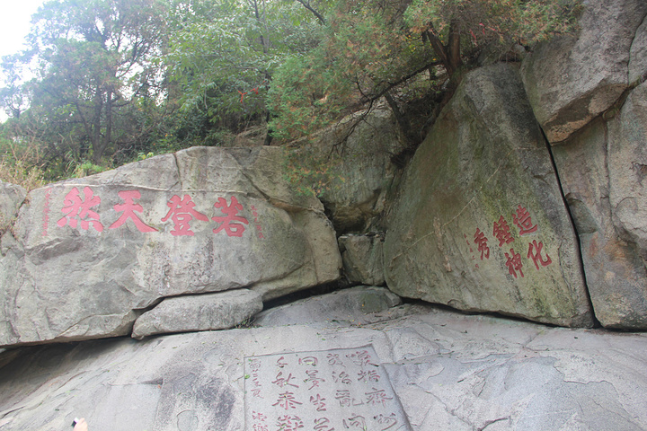 直接打车到天外村,门票和车票一起购买,127+30=157元,需要明信片的要+2元,但绝对没有必要,普通的门票就是明信片带邮票的那种。特殊人群有优惠票,老人门票62元,车票全价。坐车还是有必要的,能带你到泰山的半山腰,省去了2个多小时的爬台阶。我由于晚上没有睡好,体力不行,还要照顾儿子,选择了到中天门坐缆车前行,在南天门等爬山的几位。有些攻略中提到缆车的价格,现在都已经涨价了,没有上下线一起买的票了,都是分开购买,上行和下行各是100元/人/次。泰山最好看的还是南天门到玉皇顶的那段,有名人题字、摩崖石刻、
