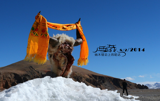 一个人、一个月、出走去西藏_拉萨旅游攻略