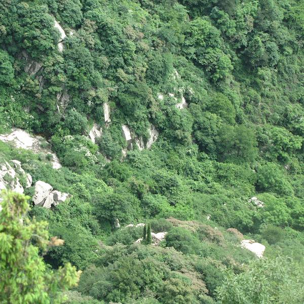 2018王顺山_v地址地址_攻略_门票_西站点评,蓝天津游记出发天津一日游攻略图片