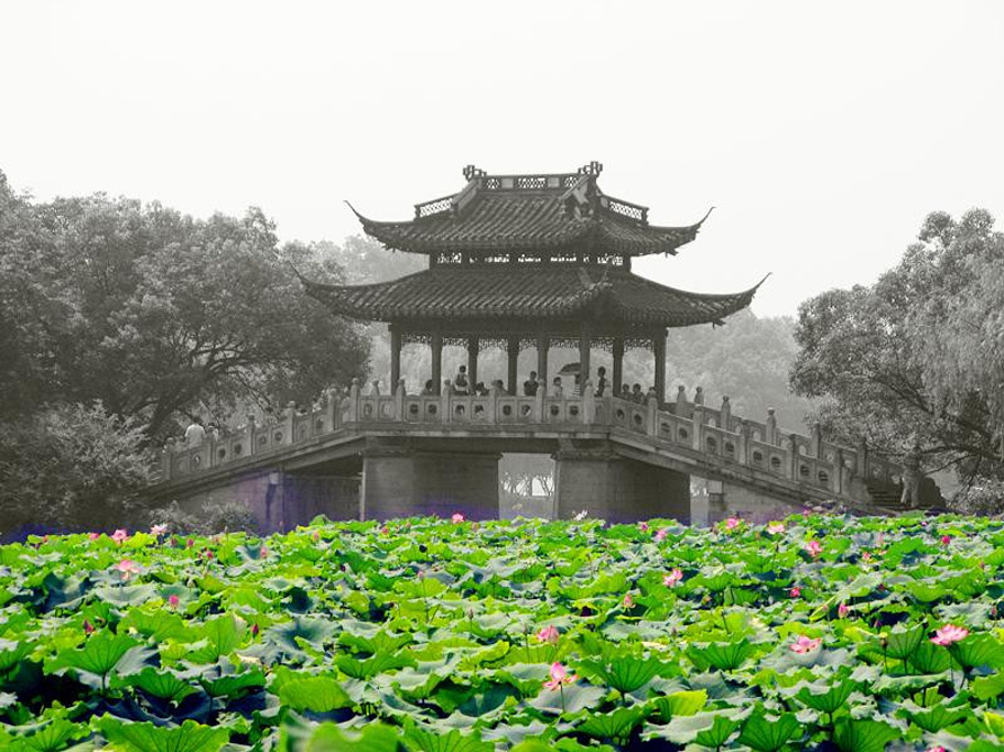 2014西湖十景,名声在外_曲院风荷评论 - 去哪儿