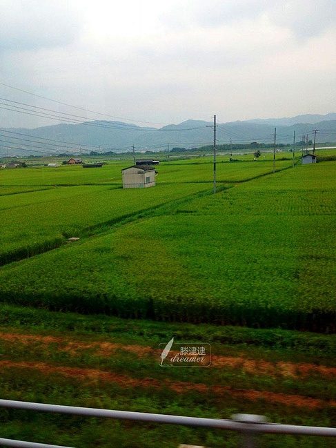 步步惊喜--京都追梦行_京都旅游攻略