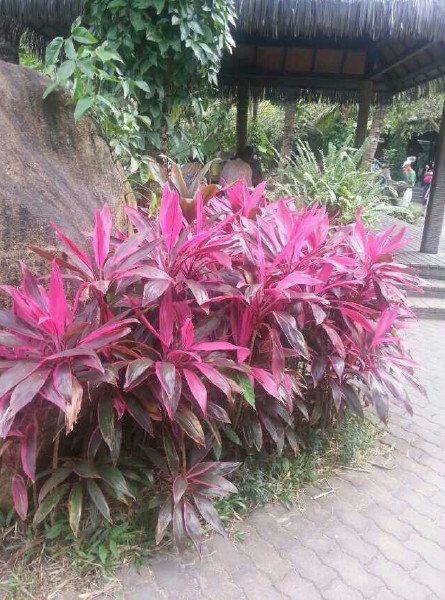 三亚吃海鲜哪里好,三亚旅游,三亚自由行_三亚