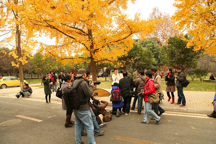 2015川大外拍:话说  钢丝 哥下午要带模特来咱们