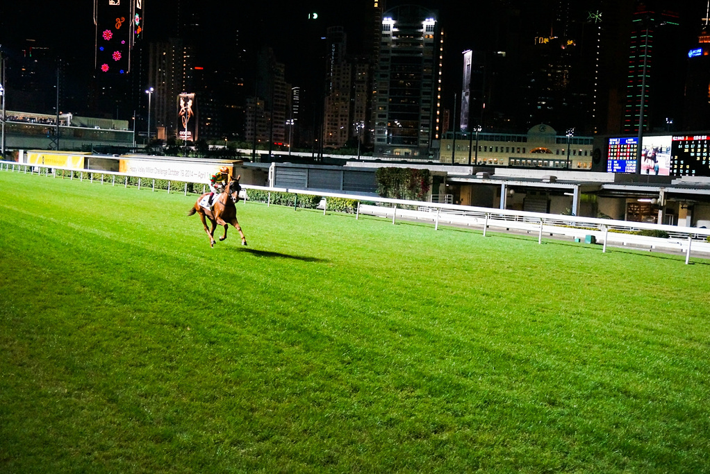 2015下注金额最低10元_跑马地赛马场评论 - 去哪儿攻略社区