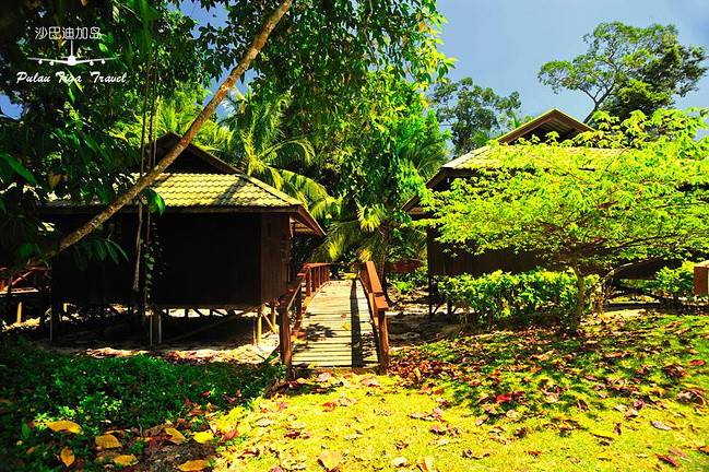 和家人一起旅行之马来西亚_亚庇旅游攻略