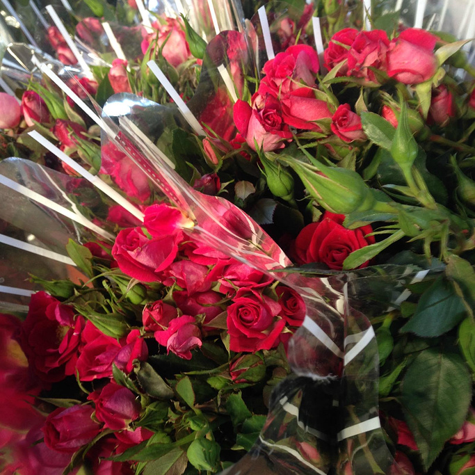 2015斗南花卉市场_旅游攻略_门票_地址_游记