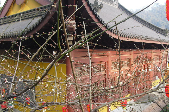 第一次自由行--上海杭州两日游_杭州旅游攻略