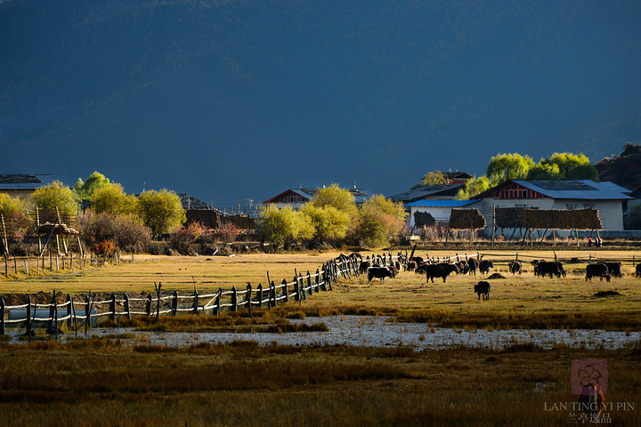 2015依拉草原纳帕海看日出想来很少有人像我