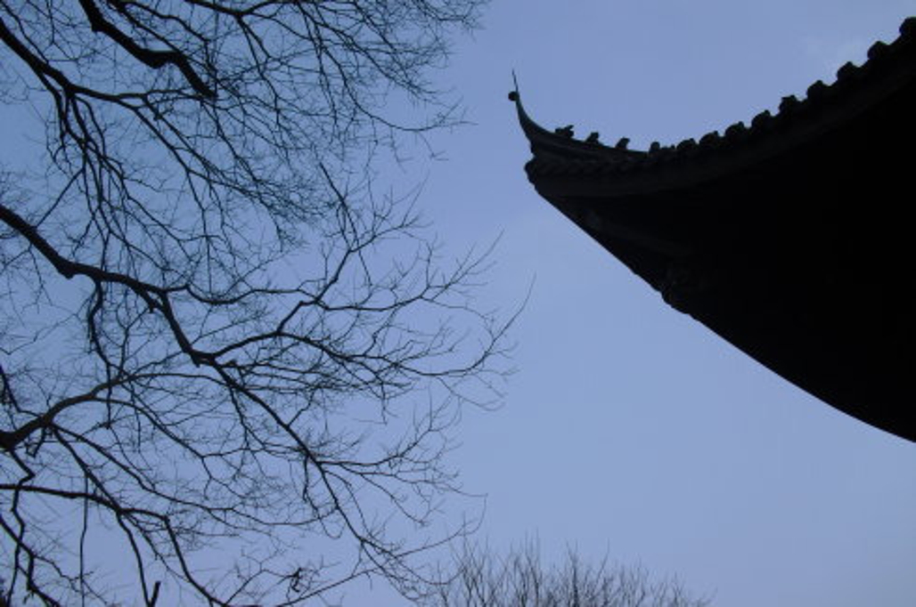 第一次自由行--上海杭州两日游_杭州旅游攻略