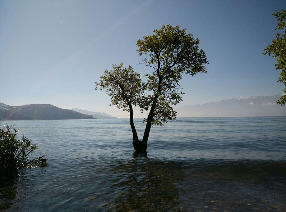 丽江、双廊7日游_丽江旅游攻略_自助游攻略_