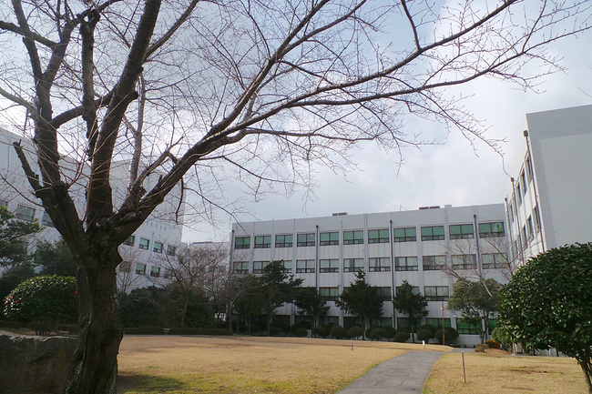 济州岛汉拿山赏雪5天,上海3天旅行攻略