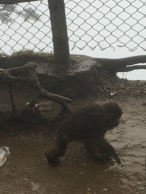 一城一山:你礼佛,我看景_成都旅游攻略