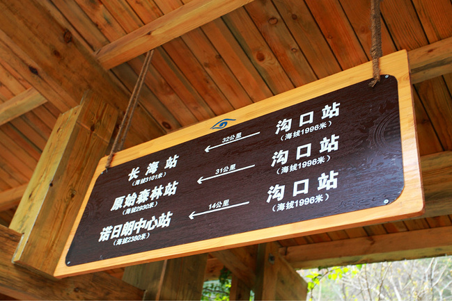 九寨沟自驾游_阿坝v攻略攻略_自助游攻略_去哪青天河攻略游玩图片
