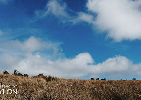 霍尔顿平原国家公园