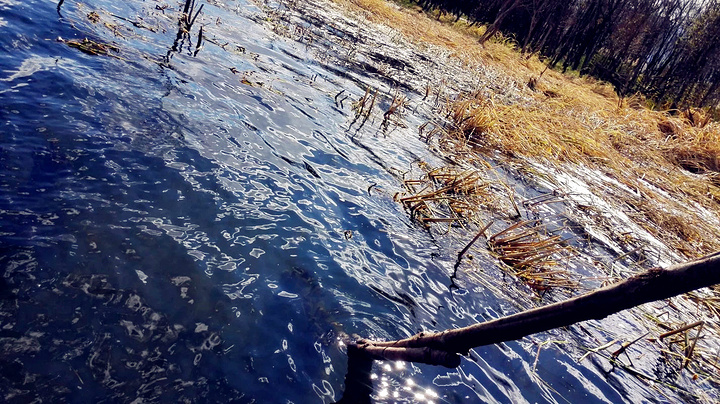 2015这里是古城附近,环海西路,这个景色是醉了