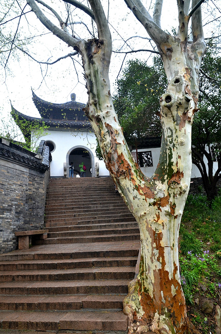 2015清明北京自驾江浙5天路书_北京旅游攻略