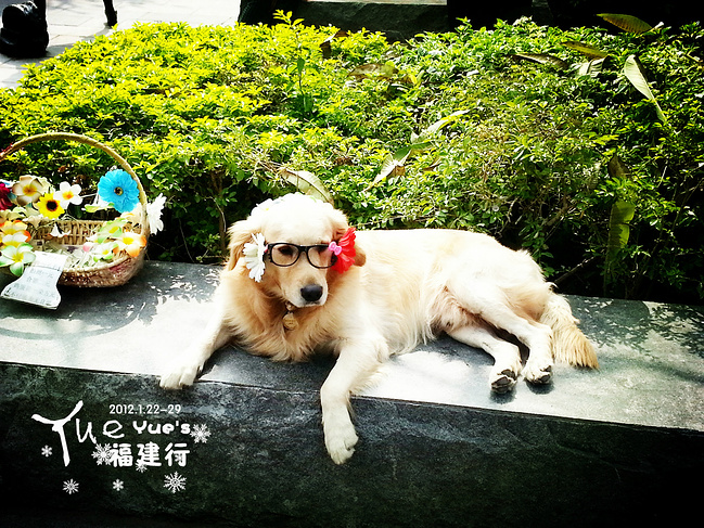 且行步-遇见五彩福建_厦门旅游攻略_自助游攻