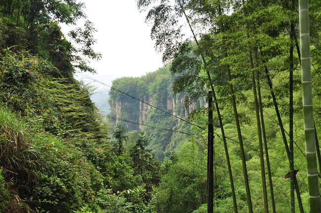 宜宾兴文石海,王山自驾游