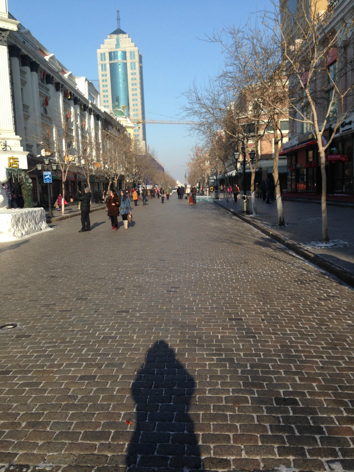 一个人之哈尔滨